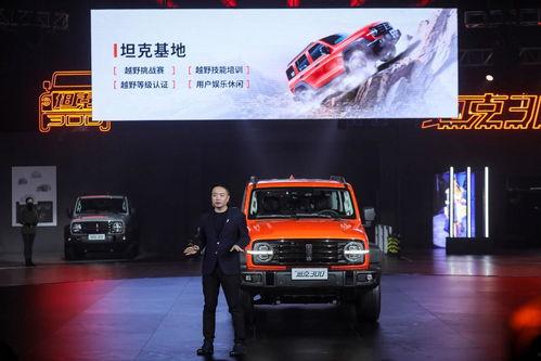 国产精品300,匠心独运,品质卓越的国产佳作盘点